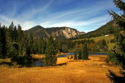 开云体育APP下载-王者的两种姿态，碾压与接管