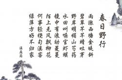 开云官网-稳定与狂想曲，德比之夜，贝恩的不掉线哲学