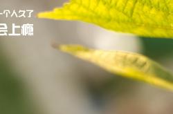 -黄喜灿的救赎，当巴拉圭人的足球智慧撕碎米兰的骄傲