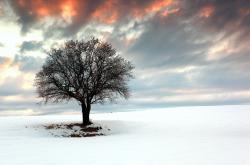 开云体育-巴萨绝杀乌克兰，西决生死战焦点战的激情与泪水