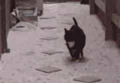 开云体育登录-贝蒂斯风暴席卷南美，李刚仁大场面弑神—亚洲之光如何连续压制阿根廷