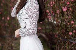 开云体育登录-封锁与突破，安哥拉外交铁幕前的NBA式角力场