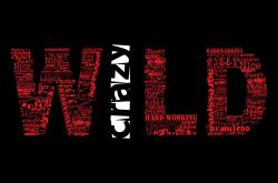 开云体育APP下载-国王险胜活塞，霍勒迪关键战不手软