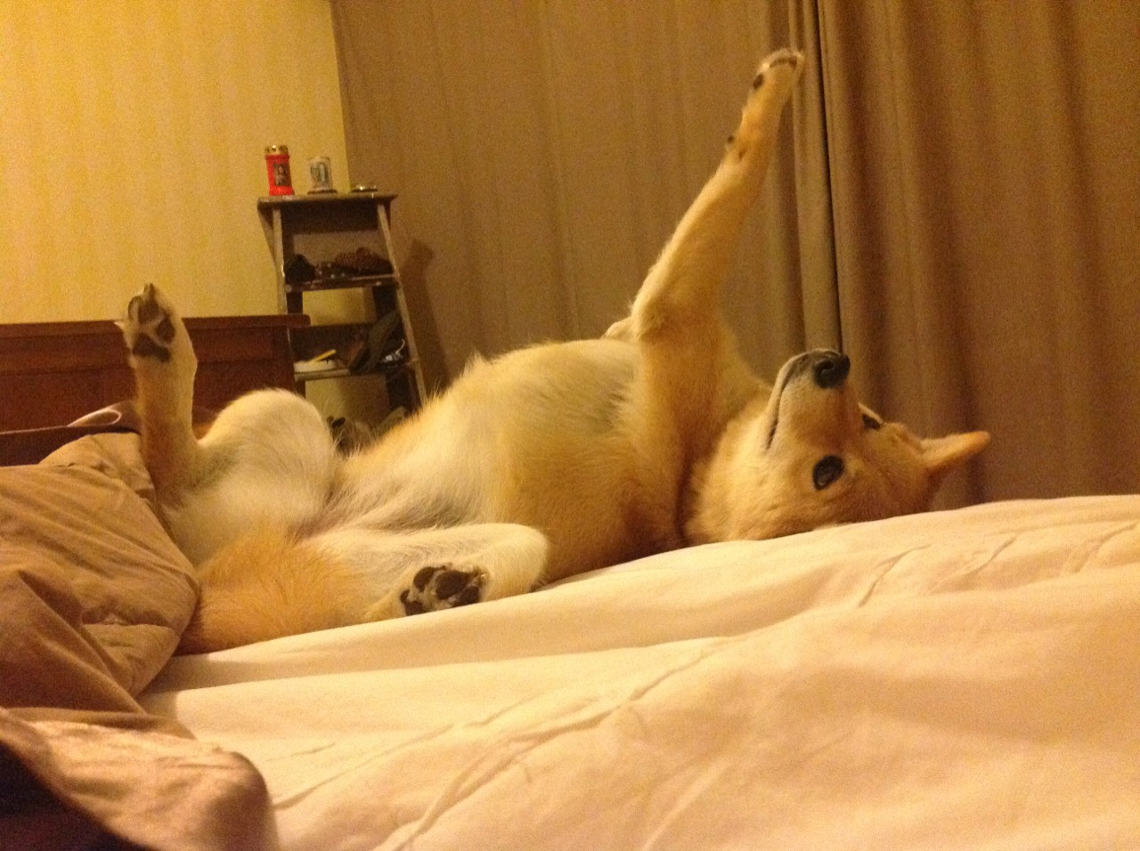 资本铁幕与绿茵匠魂，当美国禁令遇上罗德里的反现代性胜利