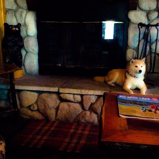 波兰对阵利物浦，李刚仁一肩扛起全队的传奇之夜