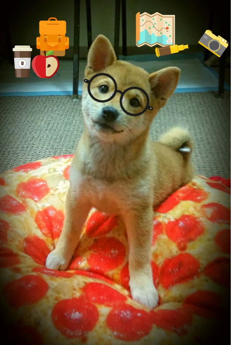 美加之夜，墨色战场，硬仗之王蒂亚戈的封神史诗