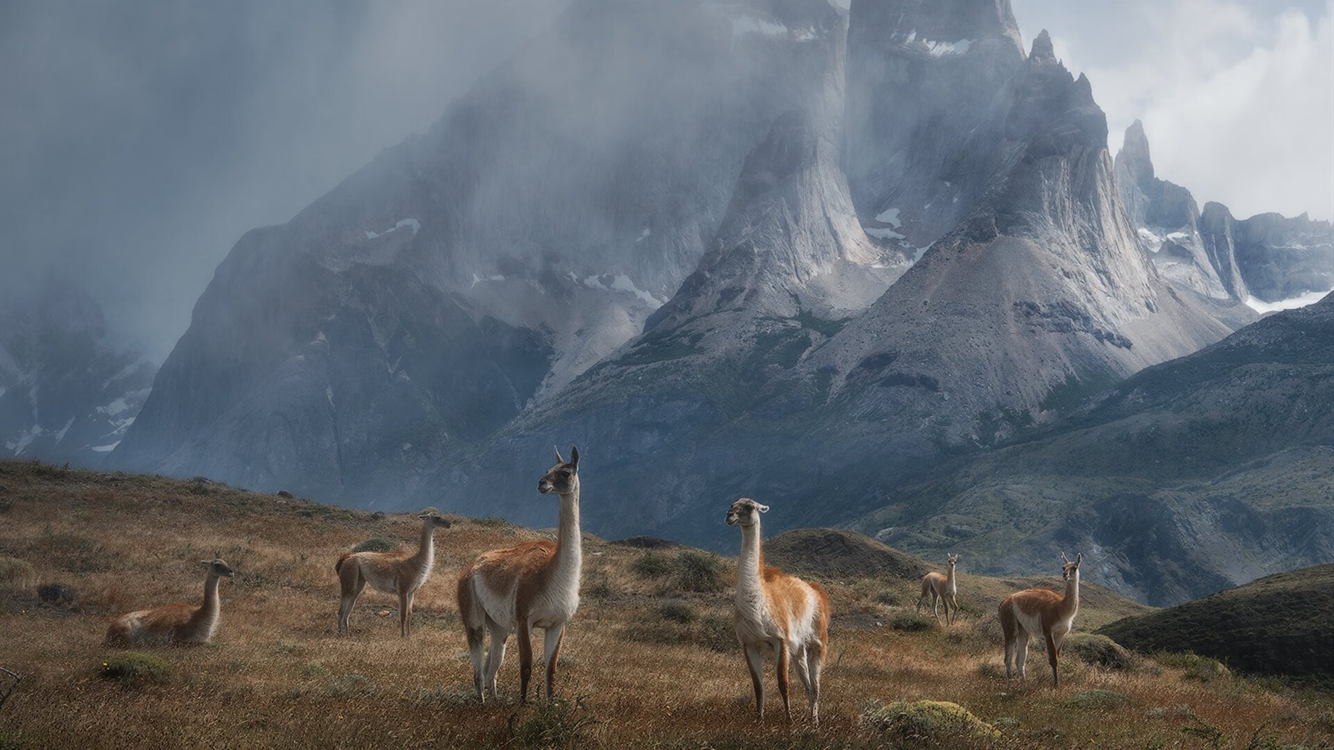 封喉利剑，当苏亚雷斯的硬仗意志撞上皇马的巴拉圭迷城