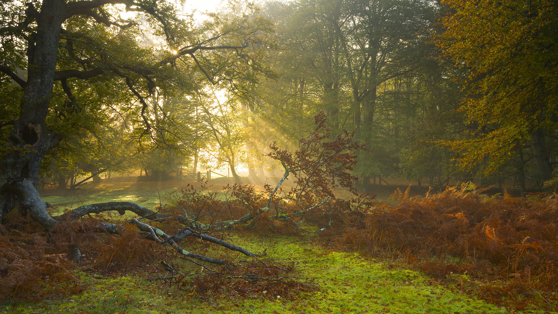 突破维度，英格拉姆如何将欧冠防线重构为他的个人秀场