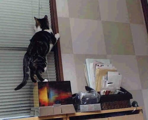 传承与刀锋，毕尔巴鄂的绝唱与拉什福德的狂舞