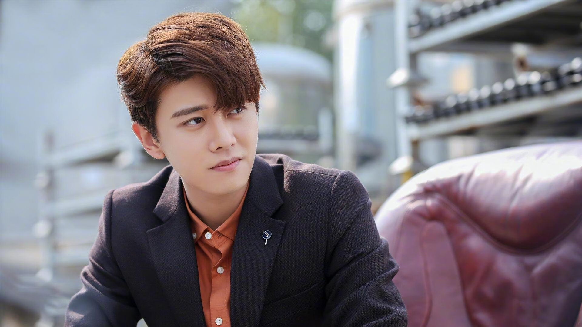 当德甲战车轰响,浙江的铁蹄踏碎了谁的灰熊叙事?