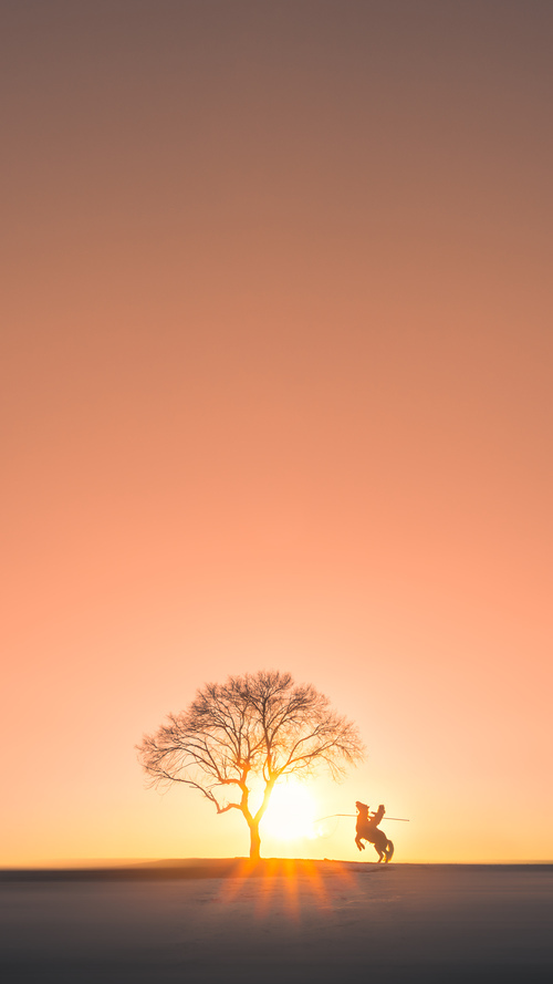 跨界风暴,克罗地亚足球突围马里,哈兰德篮球式接管传奇