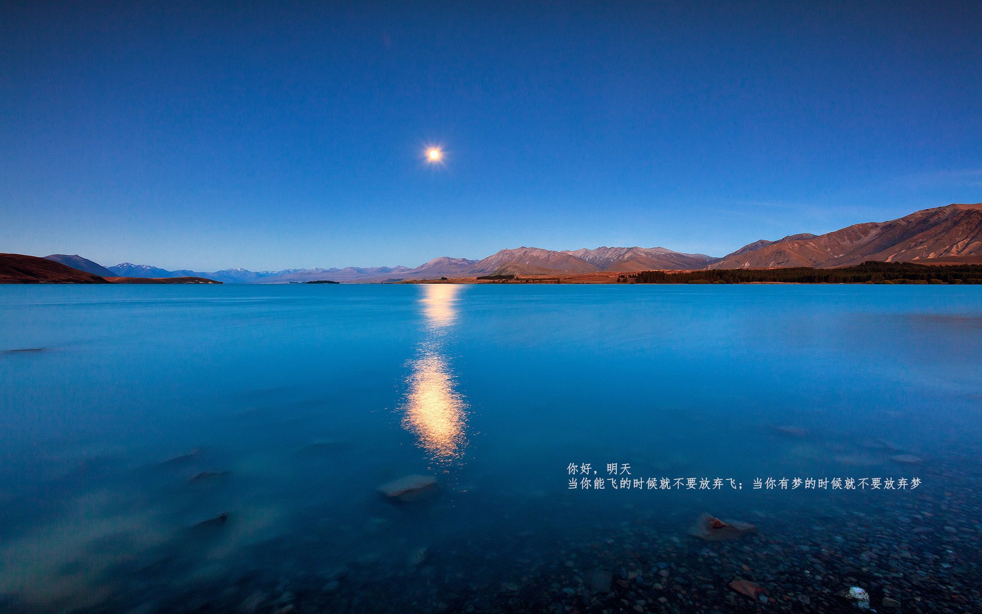 双重终结,从伊拉克北部到意甲绿茵的权力更迭