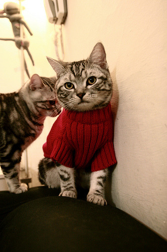 慈善巅峰战，国米点胜尼日利亚明星联队，莱万喧宾夺主演绎另类征服