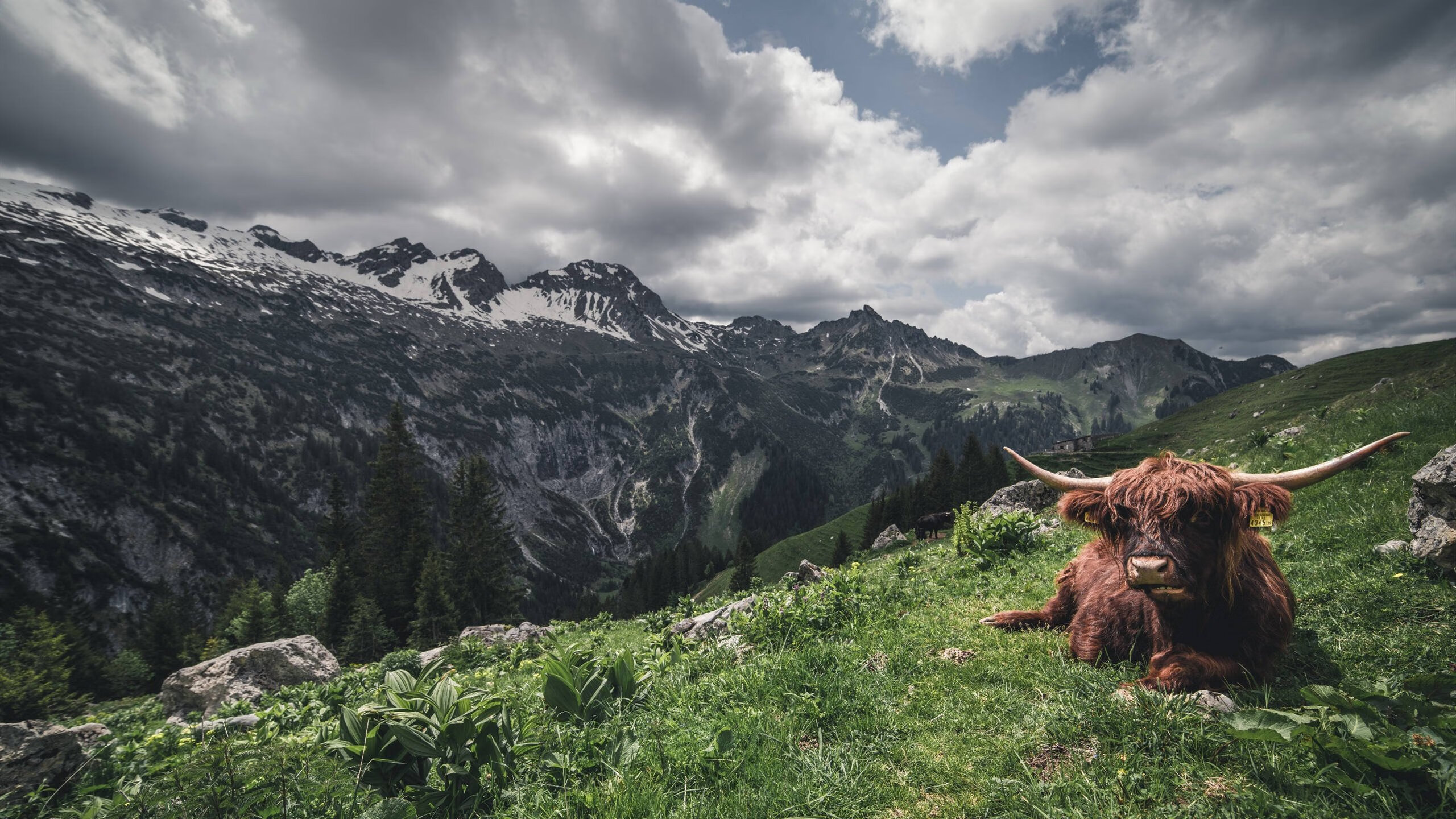 跨界决战，当NBA季后赛遇见世界杯传奇