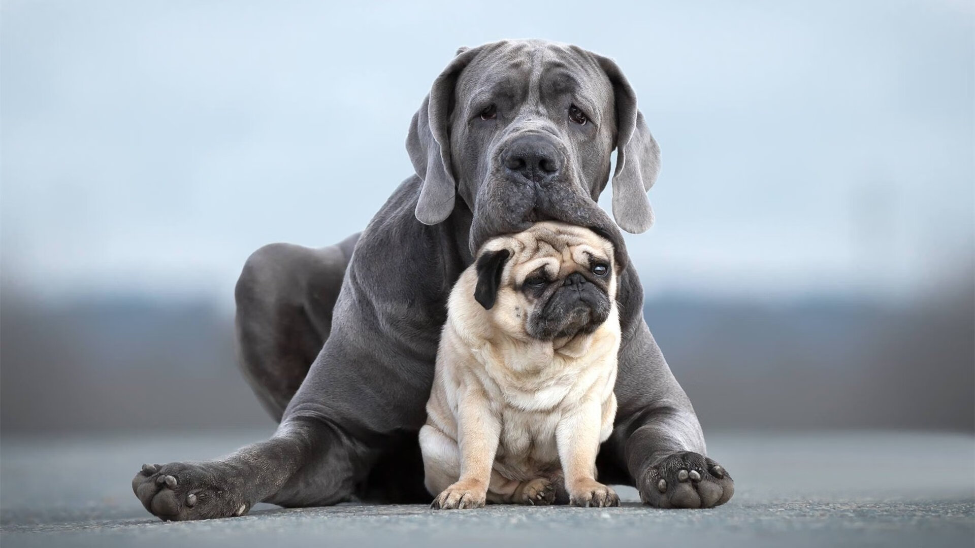 双线叙事，快船压哨惊魂与2026世界杯的班凯罗预言