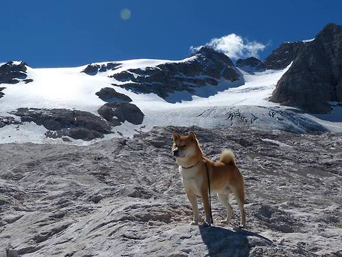 极限突破,米切尔总决赛之夜刷新历史得分纪录