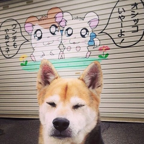 钢骨与魅影，当强行终结成为篮球的终极语言