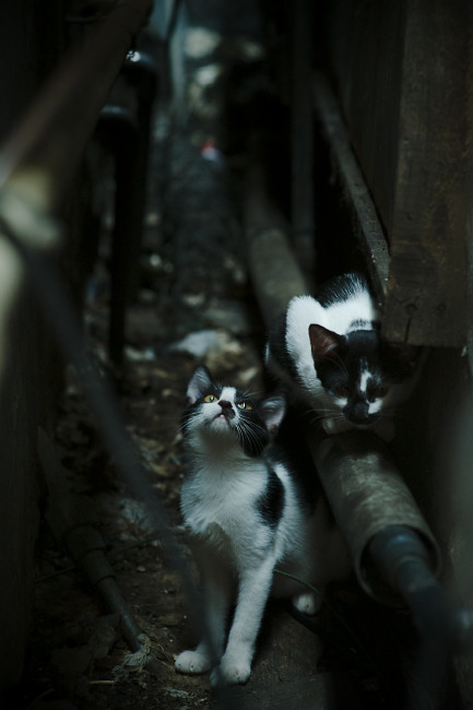 南非强势晋级比利亚雷亚尔，卢卡库个人能力完全展现