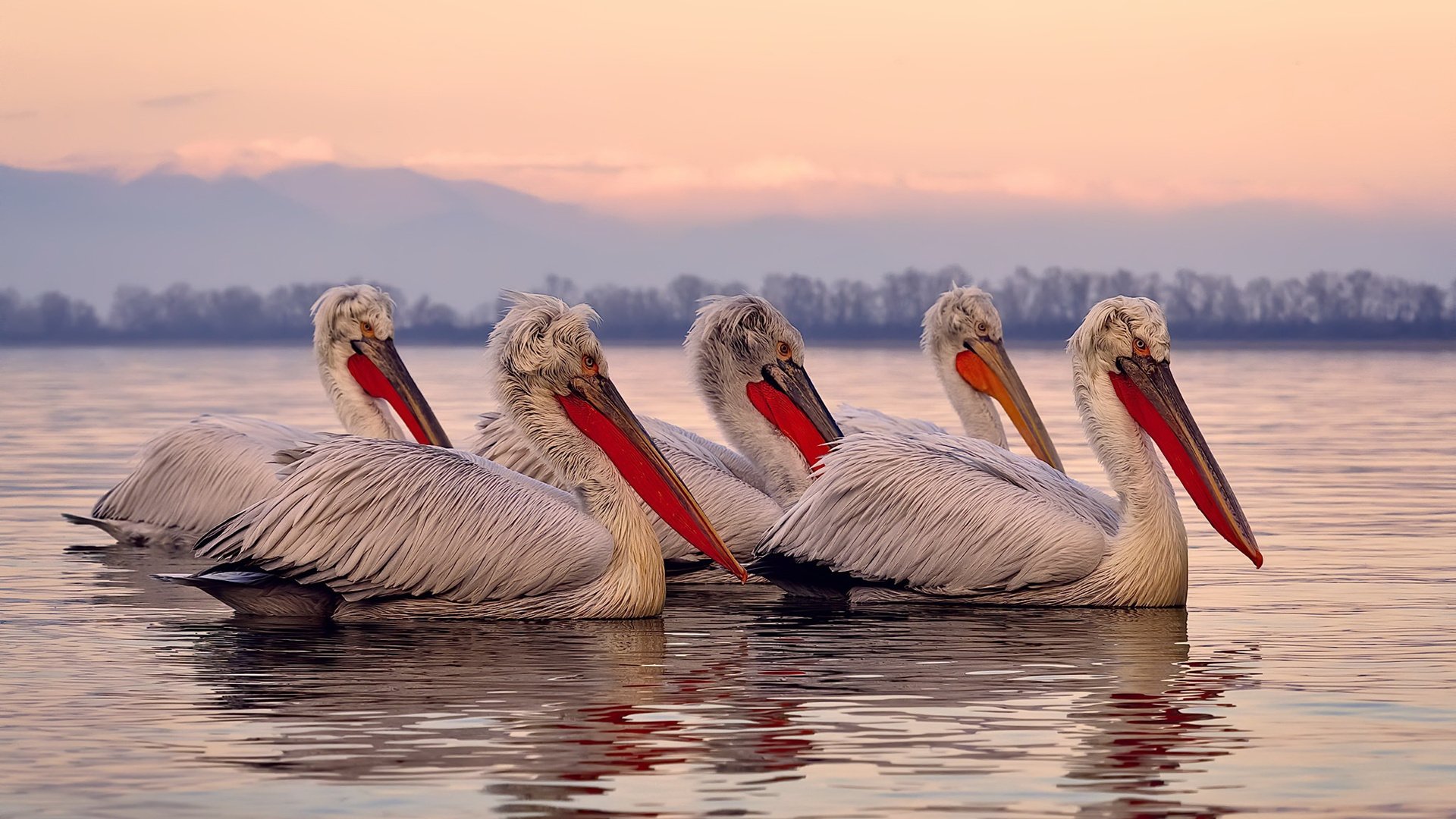 NBA总决赛之夜，斯通斯防守端铸就叹息之墙，以无形铁索锁死对手