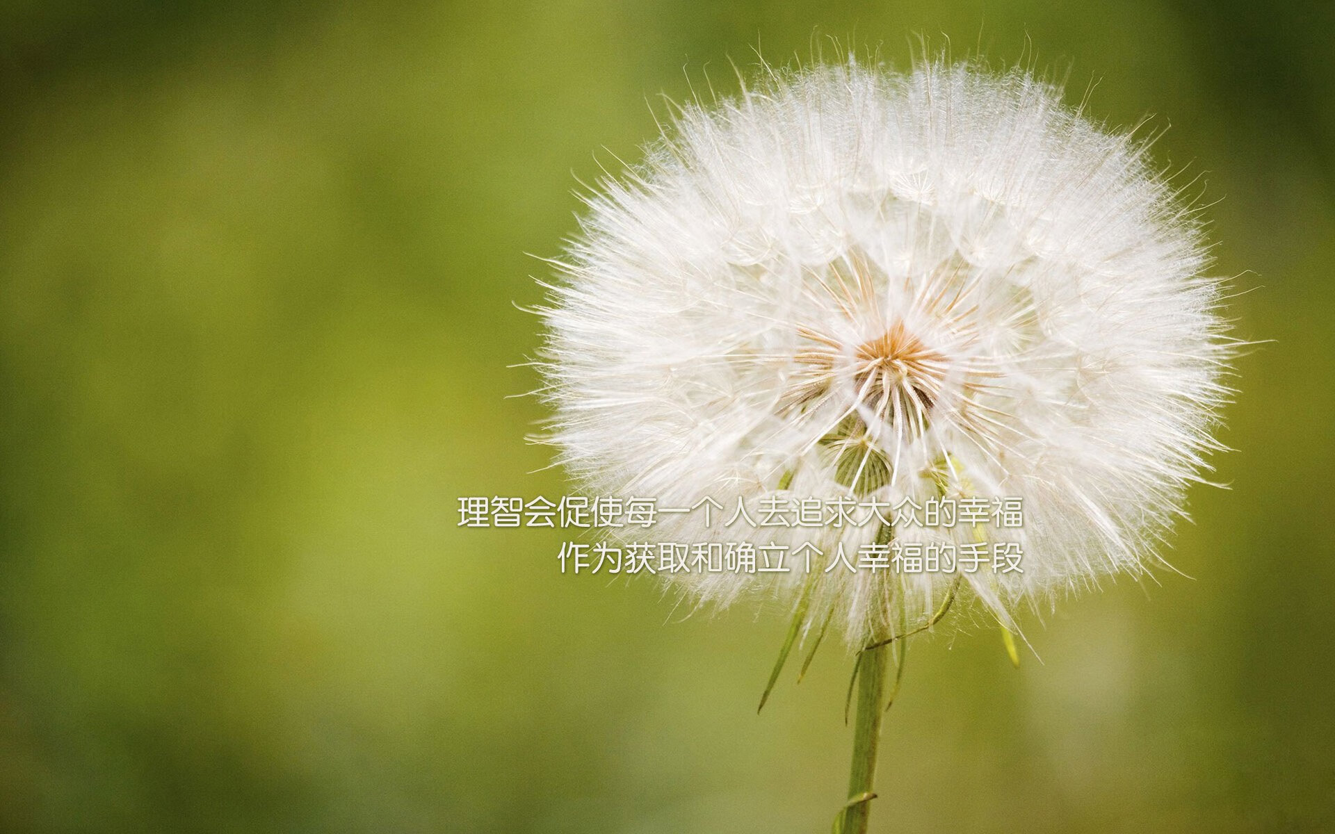 双线争锋，东方铁蹄收割篮网，西区烈焰见证马克西狂飙